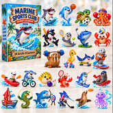 Marine Sports Advent Calendar 2026 GFTONPT906