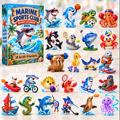 Marine Sports Advent Calendar 2026 GFTONPT906